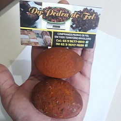 Pedras de fel bovino