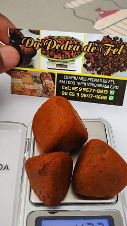 Pedras de fel triangulares