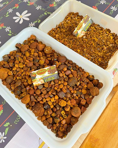 Cálculos biliares bovino💎🐂