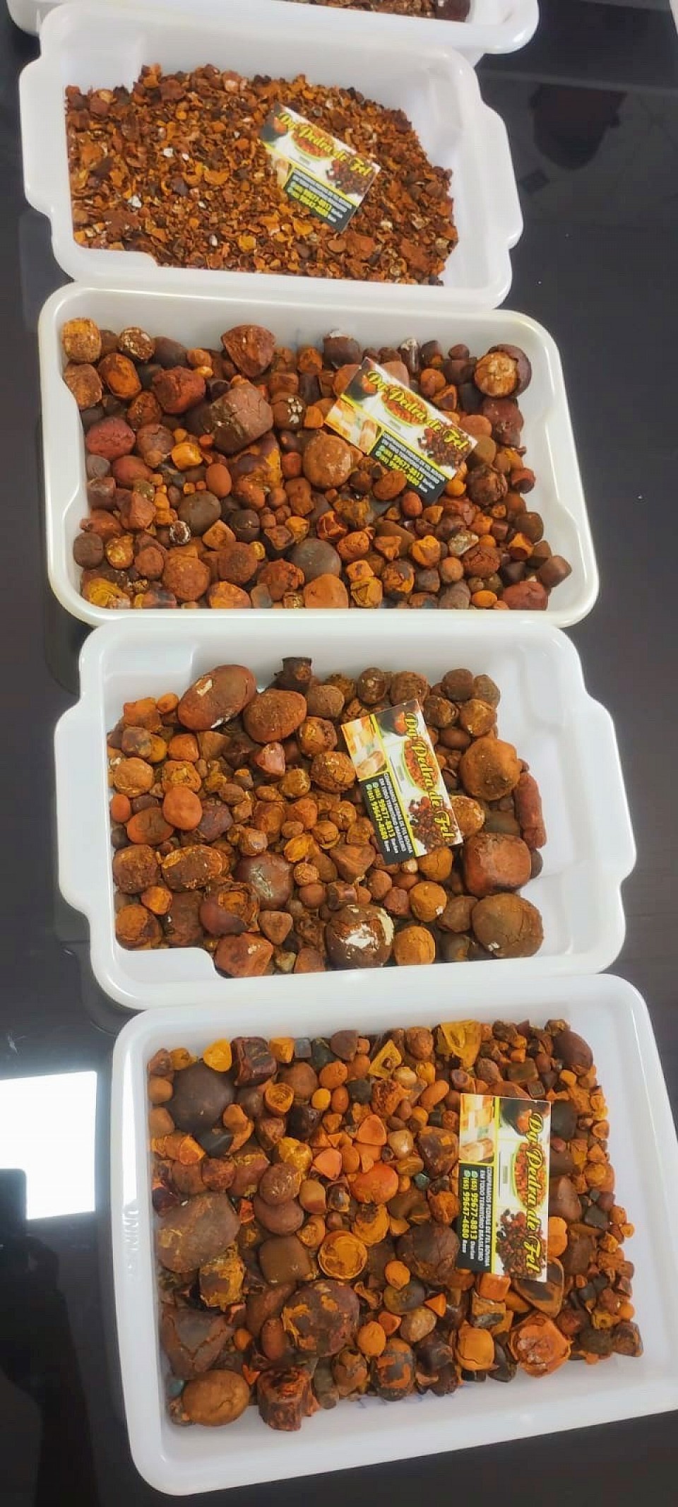 O cálculo biliar bovino, também conhecido como